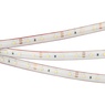 Лента светодиодная RTW 2-5000PS 12V White6000 (3528, 300 LED, LUX) (Arlight, 4.8 Вт/м, IP67)