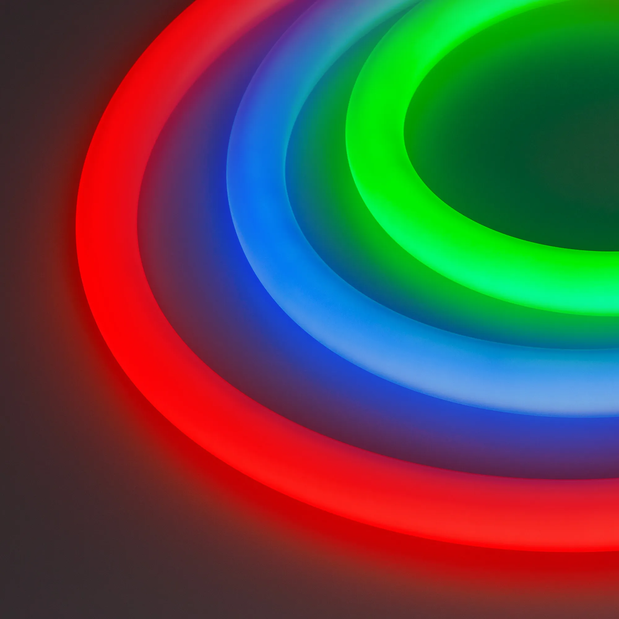 Лента светодиодная герметичная MOONLIGHT-BLACK-TOP-G280-D25mm 24V RGB 360deg (14.4 W/m, IP65, 3m, wire x1) (Arlight, Вывод прямой, 3 года) - изображение товара